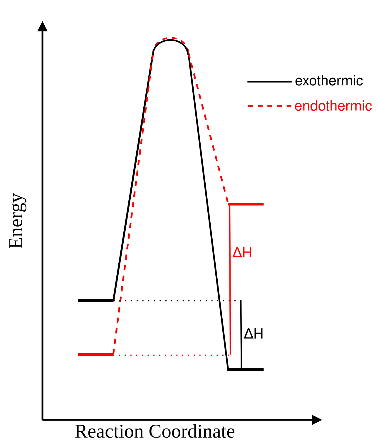 Energy versus reaction coordinate for an exothermic reaction (solid, products below reactants, delta H negative) and an endothermic reaction (dashed, products above reactants, delta H positive), each crossing an activation-energy hump.